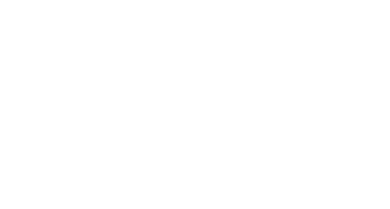 The Automotive Collective